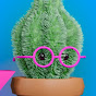 CACTUK YouTube channel thumbnail