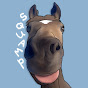Squampopulous YouTube channel thumbnail