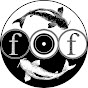 Foolish Fish YouTube channel thumbnail