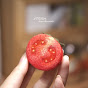 milin woolfelt YouTube channel thumbnail