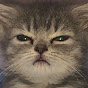 cat.404 YouTube channel thumbnail