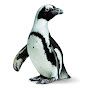 California Academy of Sciences YouTube channel thumbnail