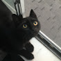 Roro YouTube channel thumbnail