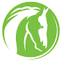 World Horse Welfare Education YouTube channel thumbnail