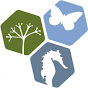National Biodiversity Data Centre YouTube channel thumbnail