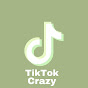 TikTok crazy  YouTube channel thumbnail