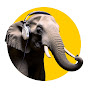 Elephants in Rooms - Ken LaCorte YouTube channel thumbnail