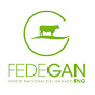 FEDEGAN YouTube channel thumbnail