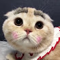 就爱看小说 YouTube channel thumbnail