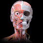 Smart Doctor 👨‍⚕️ YouTube channel thumbnail
