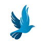 Grace Digital Network YouTube channel thumbnail
