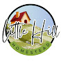 Little Hill Homestead  YouTube channel thumbnail