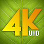 4K Relaxation Channel YouTube channel thumbnail