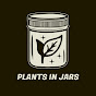 Plants in Jars YouTube channel thumbnail