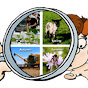 Discovering Our Countryside YouTube channel thumbnail