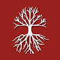 Root Media YouTube channel thumbnail