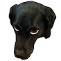 Kryand YouTube channel thumbnail