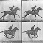 Every Frame a Painting YouTube channel thumbnail