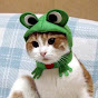 toastedcherries YouTube channel thumbnail