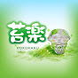 苔楽film YouTube channel thumbnail