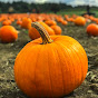 CosmicPumpkin YouTube channel thumbnail