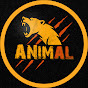 Animal AL YouTube channel thumbnail