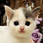 Japan Animal Travels YouTube channel thumbnail