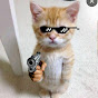 Useless Memes  YouTube channel thumbnail