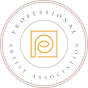 Professional Artist Association YouTube channel thumbnail