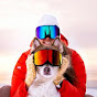 Cecilia Blomdahl YouTube channel thumbnail