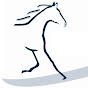 Springhill Equine Veterinary Clinic YouTube channel thumbnail