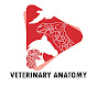 Veterinary Anatomy YouTube channel thumbnail