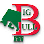 BIG BULL YT YouTube channel thumbnail