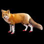 DrSlySocks YouTube channel thumbnail