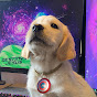 DestinysJesus YouTube channel thumbnail