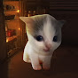 Вилли YouTube channel thumbnail