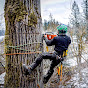 Guilty of Treeson YouTube channel thumbnail