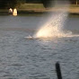 RC Boat Bitz YouTube channel thumbnail