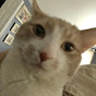 Candypat & V1dd YouTube channel thumbnail