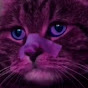 IVAN YouTube channel thumbnail