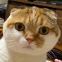 OKOGE channel YouTube channel thumbnail