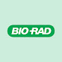 Bio-Rad Laboratories YouTube channel thumbnail