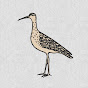 Call of the Curlew YouTube channel thumbnail