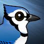 BlueJay YouTube channel thumbnail