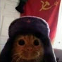 VoreNimators YouTube channel thumbnail
