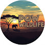 POW – Thế Giới Động Vật YouTube channel thumbnail