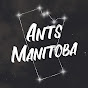 Ants Manitoba YouTube channel thumbnail