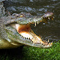 CapCroc YouTube channel thumbnail
