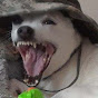 Chuncho Productions YouTube channel thumbnail