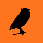 Sleepy Owl YouTube channel thumbnail